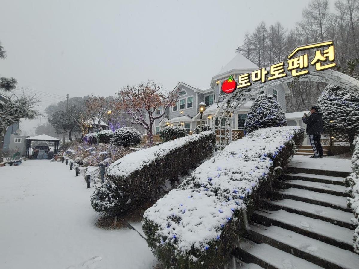 토마토 *